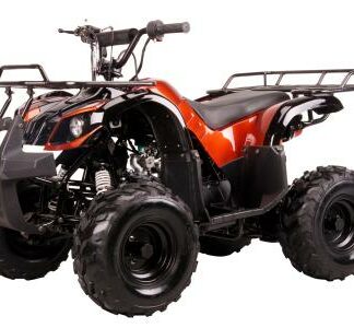 MotorcyclesCoolsterCoolster 3050D 110cc Kids ATV