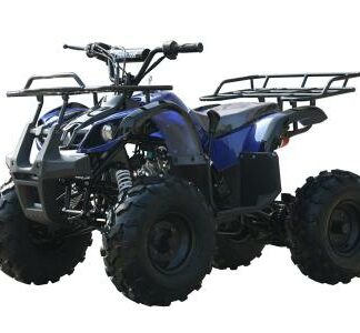 MotorcyclesCoolsterCoolster 3125XR-8 125cc Kids ATV