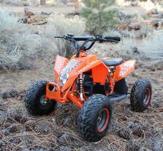 MotorcyclesEGLE-Madix 1000W Electric Kids ATV