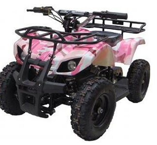 MotorcyclesGo BowenGo Bowen SONORA Electric ATV