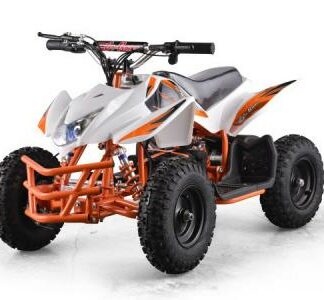 MotorcyclesGo BowenGo Bowen Titan Electric ATV