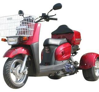 MotorcyclesIcebearIcebear Mini Cruzzer PST50-9 50cc Trike