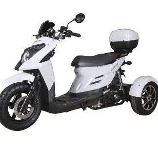 MotorcyclesIcebearIcebear SHARK 50cc Trike