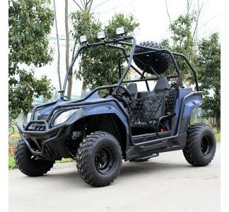 MotorcyclesApolloSafari DF200GK-H UTV