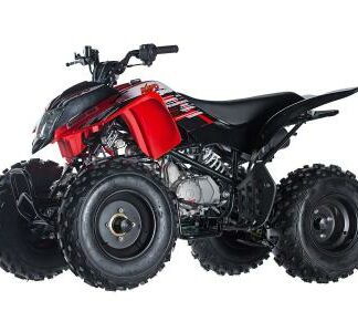 MotorcyclesIcebearStorm 150 150cc ATV