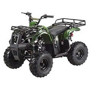 MotorcyclesTaotaoTaotao 125D 110cc Kids ATV