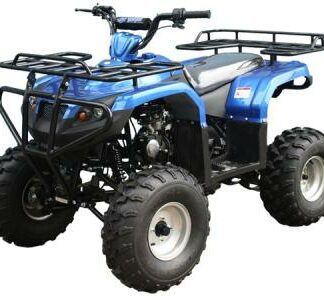 MotorcyclesTaotaoTaotao 125F1 110cc Kids ATV