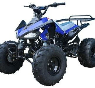 MotorcyclesTaotaoTaotao Cheetah 110cc Kids ATV