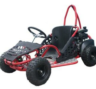 MotorcyclesTaotaoTaotao GK80 79cc Go Kart