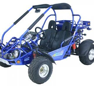 MotorcyclesTrailmasterTrailmaster 300 XRX 300cc Go Kart